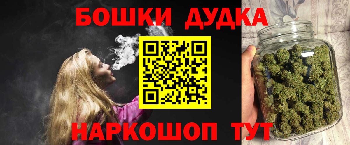 Конопля сатива Томск